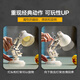 LEGO COMMENTAIRES LEGO 21357 PIXAR LAMPE ASSEPLÉ ASSEMBLE TOYS CONSEIL CADEAU DE LA SALENTINE DE Valentin [D2C Édition limitée]