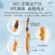 Beijing Tongrentang Qingyuantang Fresh Cordyceps sinensis gift box Fresh Cordyceps 4A [1-1.2g/root] 100 items