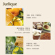 Jurlique Citrus Refreshing Body Lotion 300ML Moisturizing and Deeply Hydrating Fresh Fruity Fragrance Christmas Gift