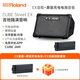 Roland CUBE-Street EX speaker outdoor road show portable playing and singing electric blowpipe CUBE-STEX electric guitar speaker CUBE-STEX black standard + original rechargeable battery