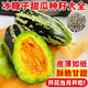 Bingtangzi melon, tooth-dropping melon seeds, cantaloupe seeds, four seasons garden spring and autumn fruits and vegetables, melon seeds G Bingtangzi melon 2 packs + free fertilizer
