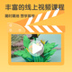 Morning light (M/G) stationery ultra light clay children's color mud plasticine clay clay kindergarten elementary school toys 24+4 color PLUS bag birthday school gift