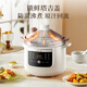 Bear electric stew pot, electric stew pot, electric casserole, soup pot, stew pot, purple casserole, bird's nest stew pot, porridge, baby food supplement pot, electric cooker 3L DDG-K30H1
