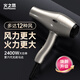 Fire Phoenix Hair Dryer 6600X, high power 2400W for hair salons, high wind power, low noise, home constant temperature hair care, no hair damage, professional hair dryer for barber shops, home appliances 6600X Titanium Gray (four wind speeds)