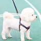 Dipur dog leash dog leash dog leash Teddy dog leash small dog leash dog walking rope pet supplies collar denim rope M recommended 10-20 Jin Jin equals 0.5 kg