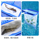 Jingmengyuan swimming pool fishing net, fish pond garbage fishing net, fishing net, ultra-encrypted leaf fishing net, pocket copy net bottom cleaning artifact, white encrypted deep net, fishing for floating foam, dust and insect eggs