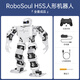 Fantasy dance Fighting Humanoide inteligente Robot Robosoul H5S Educación de fabricantes Robot puede Competencia de control de voz de teléfono móvil Robot Bionic White Terminado Producto Terminado
