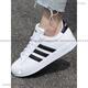 阿迪达斯 （adidas）男女鞋夏季新款透气休闲网球鞋皮面低帮板鞋情侣小白鞋女 GW9195 36