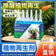 Plant Regeneration Agent Resurrection Liquid Flowers and Green Plants Potted Plants Universal Light Rod Yellowing Money Tree Succulent Growth Nutrient Solution 1 box with 6 bottles in total to rejuvenate + activate dead seedlings