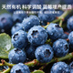 Mu Yunyao special fertilizer for blueberries, citric acid for flowers, special soil acidifier for acid-loving plants, flower preservation and fruit-promoting sulfuric acid, special citric acid for blueberries 500g*4 cans