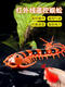 
Children's decompression artifact toy simulation remote control centipede snake little boy girl 5 internet celebrity black technology animal 2 classic version - remote control ladybug red model 9922+ screws upgraded version with another 24 electronics