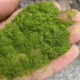 Simulated round grass floor mat, green turf, micro landscape, bonsai moss, desktop sandbox model, decorative green lawn, tender green powder bag 50g (excluding glue)