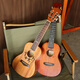 
He Jiagong Ukulele Beginner Beginners and Beginners for Girls' Introductory Vancouver 23-inch Small Guitar Children's Ocean Empire + Accessories + Tuner + Cotton Bag 23-inch