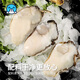 Seafood Family frozen oyster meat net weight 1.6 Jin Jin equals 0.5 kg 60-70 pieces/bag oyster meat hot pot barbecue ingredients fresh seafood