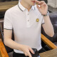 FJLT轻奢高档品牌polo衫男士T恤夏季新款时尚短袖翻领商务透气上衣 F6628（绿色） XL (建议130-145斤)