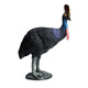 Simulación Oenux Modelo de animales Toys Bird Birds Owl Eagle Parrot Pavo Pavo avalde