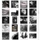 [1422] Artista de ilustración Nico Deort Pen en blanco y negro Ilustración Imágenes Pinturas decorativas 200 Fotos