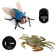 Original direct supply, novel and unique remote control electric insect toys, electric snail and mouse prank, 9922 ladybug, 130G, weight 0.28kg