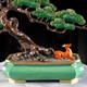 
Jinfuxi Welcoming Guest Pine Brass Large Ornament High-end Atmospheric New Chinese Style Living Room Office Villa Decoration Company Opening Gift BJ1391---Welcoming Guest Pine
