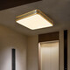 Leshi (NVC) 2025 new outdoor ceiling light insect-proof waterproof door light Chinese villa full copper entrance light garden terrace sun X3891/round 40CM/three colors adjustable