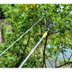Bun Peng high-branch pruning branch scissors telescopic belt rope fruit picker high-altitude head high-altitude pruning thickened high-altitude shears No. 46
