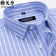 Yager Flaggschiff offizielles Geschäft für Kurzärärmel-Shirt für Herren Hemd Pure Cotton Business Casual Professional Anzug Anti-