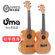 UMA Ukulele Anfänger 23-Zoll-Kleine Gitarrenstudenten Einführende Kinder Jungen und Mädchen UKLILI 03C UK-03C23 Zoll