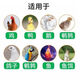 Chick feed high protein nutritional material medium large chicken egg cub feed wholesale feed manufacturer direct sales duck and goose general broken small particles 5Jin Jin is equal to 0.5 kg