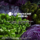 
Panasonic refrigerator six-door NRF673WXX5 air-cooled frost-free Nanometer X deodorization black mirror NR-F673WXX