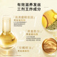 L'Oreal Big Gold Bottle Shampoo Dew Shampoo Set Qihuan ätherische Öl Feuchtigkeitsfeuchtigkeitsfeuchtigkeitsreparatur Haarbrennungsdichtes Shampoo Creme Geschenk Big Gold Flaschen Shampoo 440ml*2+ Feuchtigkeits 100 ml*2