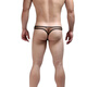Gay men's underwear Gay sexy boys' underwear see-through pouch low-waist fine mesh thong sexy 0 white XL