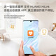 体重秤体脂秤电子秤称体重支持HUAWEI HiLink小米苹果手机适用减肥专用精准宿舍人体秤体重秤 鸿蒙体脂秤/皓月白/充电