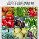 Stanley 10 Jin Jin is equal to 0.5 kilogram 20 Jin Jin is equal to 0.5 kilogram 30 Jin Jin is equal to 0.5 kilogram 50 Jin Jin is equal to 0.5 kilogram 100 Jin Jin is equal to 0.5 kilogram Organic fertilizer compound fertilizer is universal for agricultural vegetables, flowers and fruit trees 10 Jin Jin is equal to 0.5 kilogram High quality organic packaging
