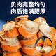 Selling Fish Qilang Frozen Large Yellow Scallop Meat Net Weight 3Jin Jin is equal to 0.5kg, about 120-180 pieces, clean and sand-free, barbecue seafood