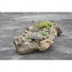Succulent wood flower tank natural log wood root dead wood flower pot Zen Dendrobium succulent plant rotten wood flower pot Black 1355