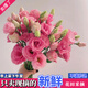 Kunming Lisianthus flower base direct hair indoor living room flower arrangement water for home bouquet gifts Yunnan direct batch random color Lisianthus + free grass 1 to 3 flowers with buds (no grass and preservative