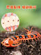 
Children's decompression artifact toy simulation remote control centipede snake little boy girl 5 internet celebrity black technology animal 2 classic version - remote control ladybug red model 9922+ screws upgraded version with another 24 electronics