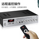 SAST 6-Zoll-Decken-Audio-Set-Verstärker öffentliches Broadcast-System Decke Home Living Room Shop Restaurant Hintergrundredner Kombination Lautsprecher ein bis zwei SA-9010