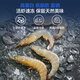 One s Member Domestic white shrimp (31-40) 1kg/box