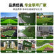 Simulated lawn carpet artificial artificial balcony floor mat kindergarten green outdoor fake grass plastic turf decoration new upgrade - 2 cm spring grass encryption (1 meter wide 1 meter long) 1 square meter