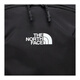 北面（The North Face）12L纯色Logo徽标拉链开合尼龙背包双肩包常规男女同款情侣款黑色 黑色