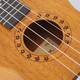 Zani ukulele 21 Zoll 23 Zoll 26 Zoll Anfänger Einstiegsvier-Saiten kleiner Gitarre-Ukulele-Instrument 21-Zoll-Ukulele Full Basswood Pink Mono + 21 Zoll