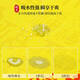 Yunmao Golden Feng Shui Kitchen Mat de piso especial Diatom Absorción de agua Absorción de aceite Anti-Slip Mostín para el pie para el pie para la alfombra personalizada Ankang-Golden-12161 50*180cm