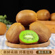 Shaanxi Meixian Xuxiang kiwi fruit 2025 new fruit picked now, sweet and juicy, bad fruit guaranteed to be compensated by JD.com Sweet and juicy 8 pieces (single fruit 60-70g)