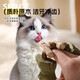 Cat Toy Fish Bone Mu Tian Polygonum Teeth Stick Simulated Grilled Fish Teeth Cleaning Stick Cat Mint Self-Happiness Toy Cat Funny Stick Mu Tian Polygonum Simulated Fish Bone-3 Pack Mu Tian Polygonum Simulated Fish Bone