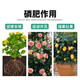 Yuntianhua Phosphate Fertilizer Flower Superphosphate Flower Fertilizer Vegetable Fertilizer Root-Strengthening Fertilizer Soil Fertilizer Chemical Fertilizer Vegetable Agricultural Fertilizer Yuntianhua Phosphate Fertilizer 10Jin Jin equals 0.5kg/pack