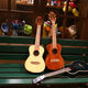 
Andrew (ANDREW) ADL Andrew Voice Ukulele Beginner Ukulele Female Small Guitar Student Children Gift Voice Mid-Yuyu Lonely City + All Accessories + Cotton Bag 26 inches