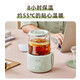 Bear Mini Health Pot Office One Person Health Cup Small Full Glass Thermostatic Kettle Insulated Electric Coaster Flower and Fruit Tea Boiling Water Electric Kettle Autumn and Winter Health Gifts Recommended YSH-F04E1 All Glass Cup 0.4L With Filter Ladle