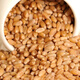 Wheat grains with skin 5Jin Jin is equal to 0.5kg Edible flour grinding medicine to induce maltose Germinated grass seeds Juicing and winemaking Cat grass 2025 new wheat 10Jin Jin is equal to 0.5kg (can be germinated and ground)
