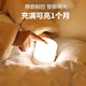 充电触摸拍拍小夜灯婴儿喂奶换尿布台灯床上睡眠宿舍酒吧定制露营 2500mAh正白光 充插两用长续航